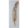 Image 4 : Feather Carving + Collection
