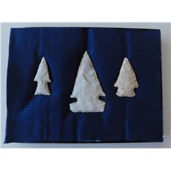 Illinois Flint Collection