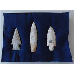 Illinois Flint Collection