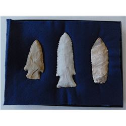 Illinois Flint Collection