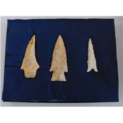 Illinois Flint Collection