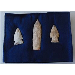Illinois Flint Collection