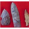 Image 5 : Texas Paleo Flint Collection