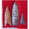 Image 1 : Texas Paleo Flint Collection