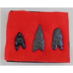 California Paleo Flint Collection