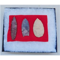 Texas Paleo Artifacts
