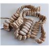 Image 1 : Trapdoor Spider Rattle