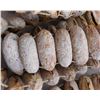 Image 2 : Trapdoor Spider Rattle