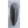 Image 10 : Fluted Stone Axe