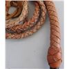 Image 4 : 10' Bull Whip