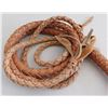 Image 8 : 10' Bull Whip