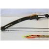 Image 2 : BOW AND ARROWS