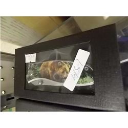 NEW FOLDING KNIFE - BEAR IMAGE
