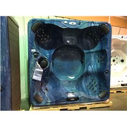 CAL SPA PACIFIC RIM ACRY 100X100, MIST BASE, 51 JETS, BENCH, WATERFALL CASCADE