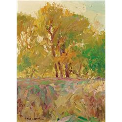 Rod Goebel | Sun Dapples