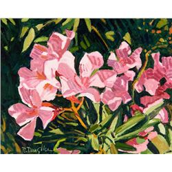 Robert Daughters | Oleander Color