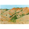 Image 1 : Hollis Randall Williford | Red Mountain