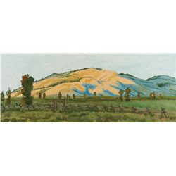 Hollis Randall Williford | Early Morning, Colorado