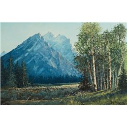 Ray Swanson | Cathedral Group