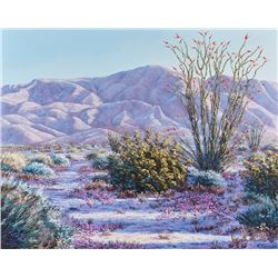 Kerry Kinman | Anza-Borrego Desert Blossoms