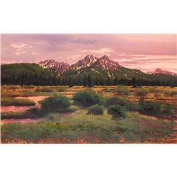 Bruce Cheever | Sawtooth Meadow