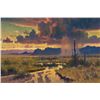 Image 1 : Michael Stack | After the Monsoons