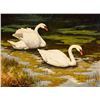 Image 1 : Mark Haworth | Courting Swans
