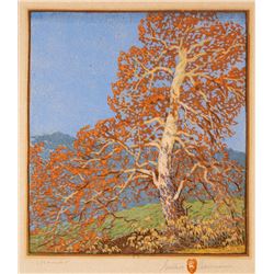 Gustave Baumann | Sycamore