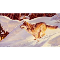 Julie Jeppsen | Wolf Running in Snow