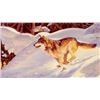 Image 1 : Julie Jeppsen | Wolf Running in Snow