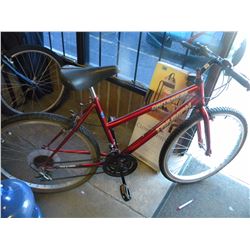 TRIUMPH MOUNTAIN BIKE