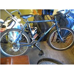 PINNACLE MOUNTAIN BIKE