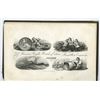 Image 1 : How to Detect Counterfeit Bank Notes 1856, with 4 Plates by Rawdon, Wright, Hatch & Edson.