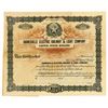 Image 1 : Gainesville Electric Railway & Light Co., ca.1900-1910 Specimen Stock Certificate