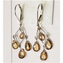 #38-14KT WHITE GOLD RARE GARNET EARRINGS