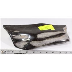 LARGE PIECE OF SHINY BLACK PETRIFIED WOOD