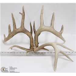 TWO SETS OF SHED DEER ANTLERS