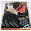 Image 1 : FLAT OF DOG  ACCESSORIES INCL FLEXI LEASH, MEDIUM