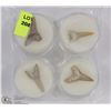 Image 1 : LOT OF 4 SHARK TEETH