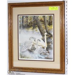 HPIKL PRINT 1832/3000 FRAMED PIC OF SWANS 18"X22"