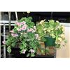 Image 1 : LOT OF 2 ARTIFICIAL HANGING PLANTERS