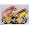 Image 1 : SEASHELL AQUARIUM DISPLAY