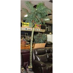 10FT PALM TREE ON CHOICE
