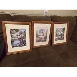 FRAMED PICTURES - 3 TTL - LANDSCAPES