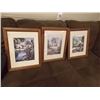 Image 1 : FRAMED PICTURES - 3 TTL - LANDSCAPES