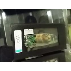 NEW FOLDING KNIFE WITH BEAR IMAGE