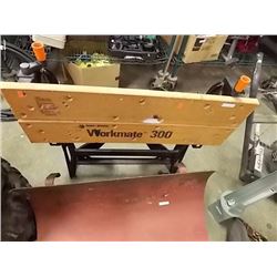 WORKMATE 300