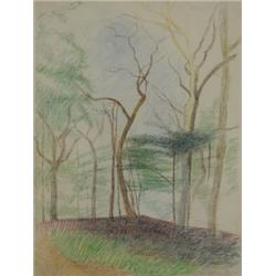 Joseph Stella (18871946) Tree Study