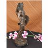 Image 3 : Apache Native American Warrior Bronze Statue