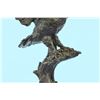Image 3 : Animal edition Bronze Owl Statue